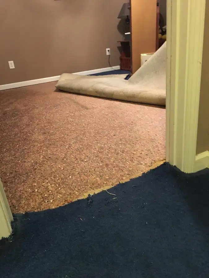 Carpet pad removal revealing water damage during Water Mitigation Services in Midland Park